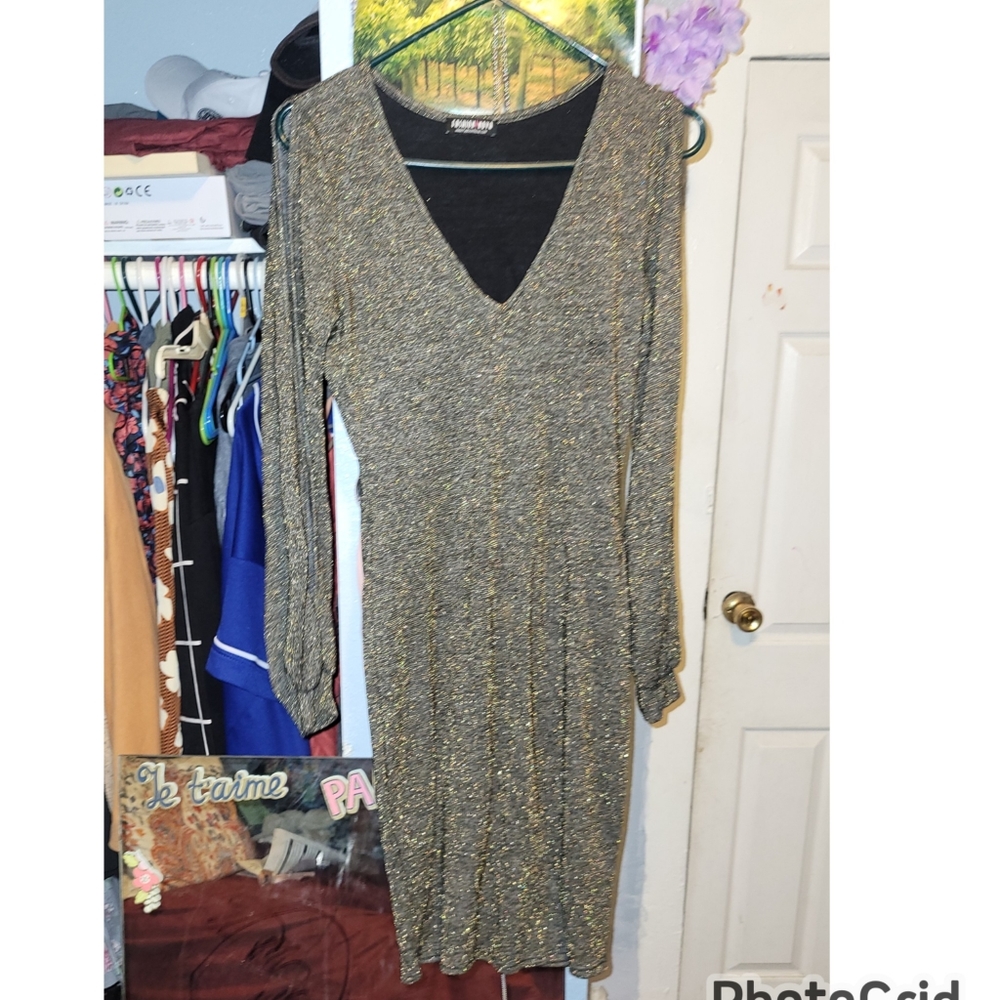Glittery Dress